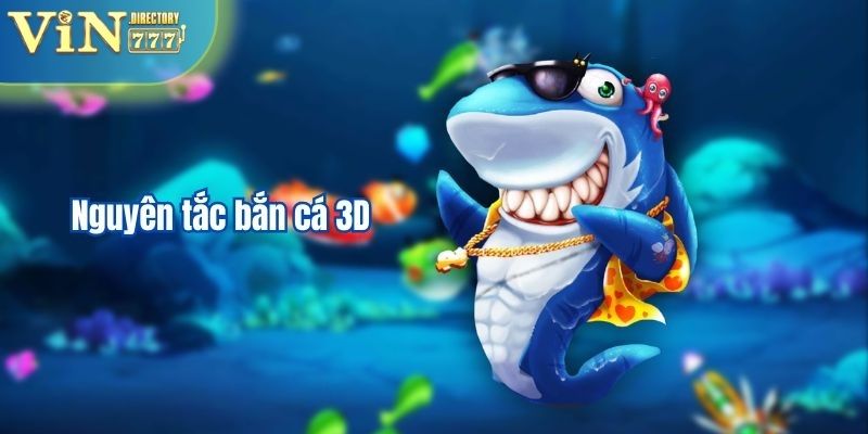 Nguyên tắc săn thưởng đại dương 3D