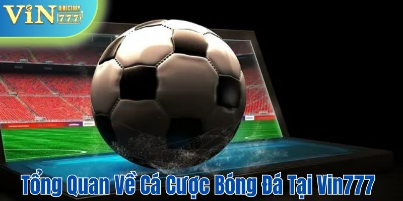 Tổng quan về cá cược bóng đá trên Vin777