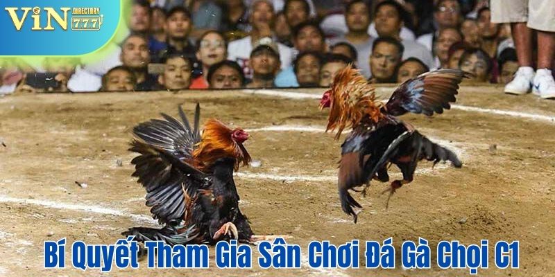 Bí quyết tham gia dễ dàng sân chơi đá gà chọi C1