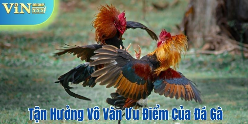 Tận hưởng vô vàn ưu điểm của sân chơi