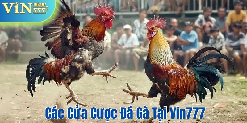Suy nghĩ thấu đáo trước khi đưa ra sự lựa chọn của mình 