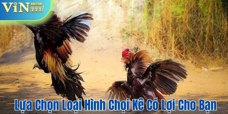 Lựa chọn loại hình chọi kê có lợi cho bạn