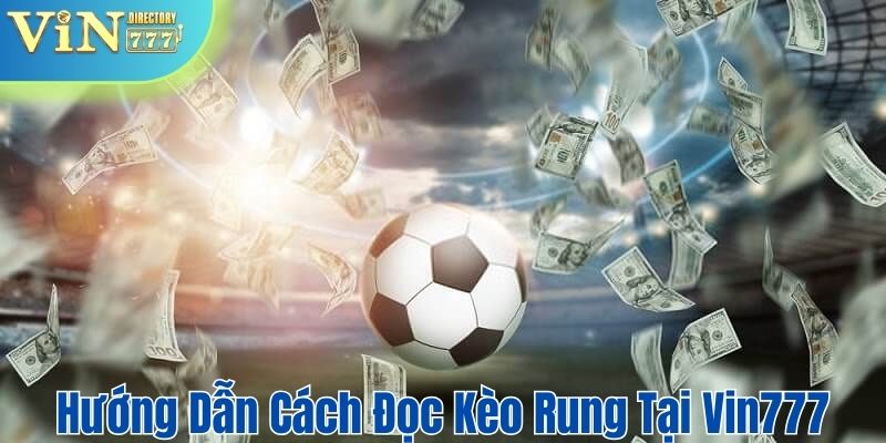 Hướng dẫn chi tiết cách đọc cược rung tại nhà cái cho newbie
